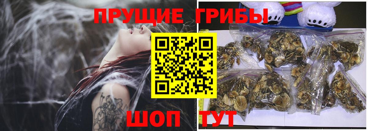Галлюциногенные грибы Psilocybine cubensis Выкса